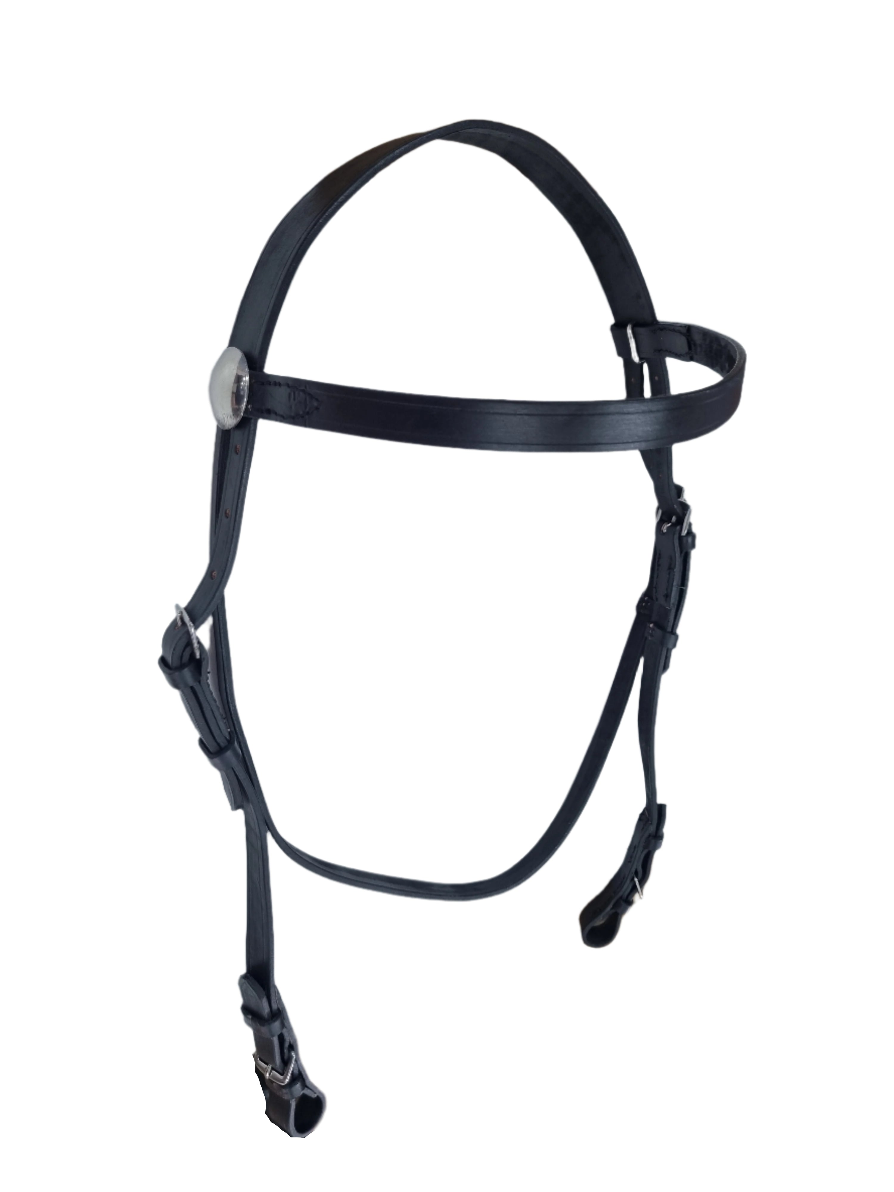 Bridle Showing In Hand Solo